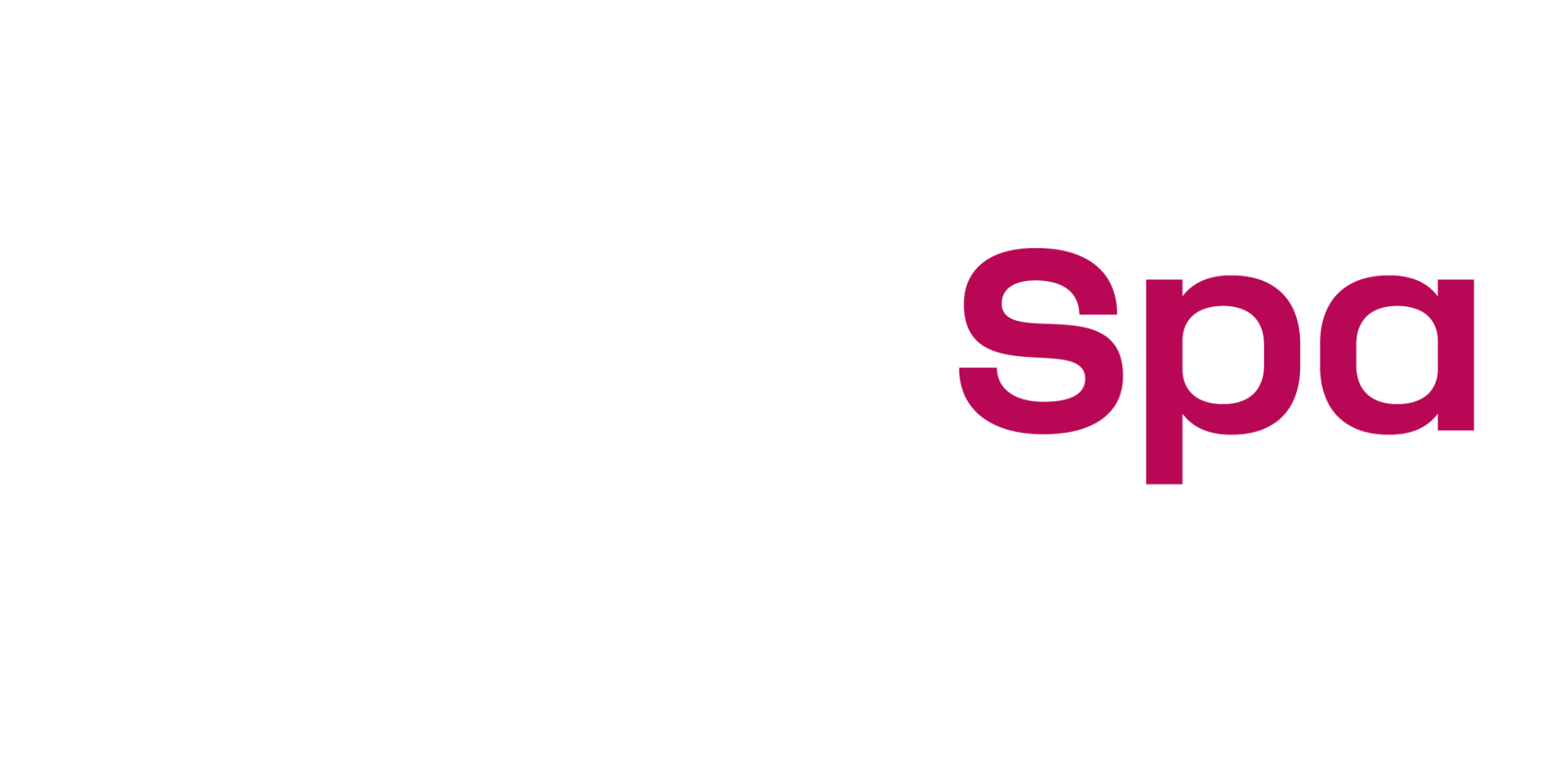 Speed Spa Auto Care